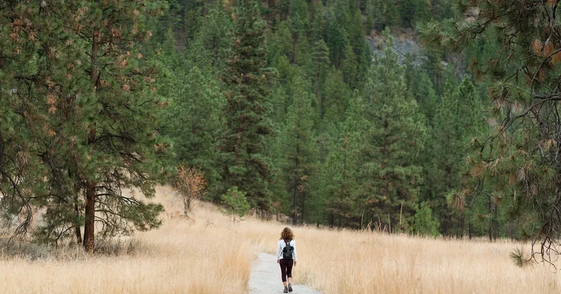 L'effort physique et la lenteur comme régulateurs d'anxiété
