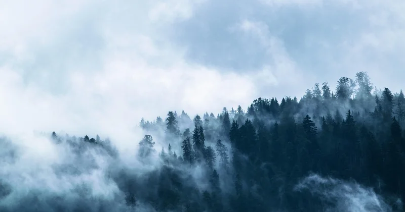 Les limites : ce que la nature ne résout pas